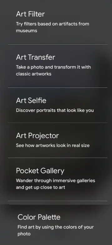 Camera options in the Google Arts and Culture App: Art Filter, Art Transfer, Art Selfie, Art Projector, Pocket Gallery, Color Palette